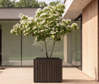 Gratis Kleursample - Signature Wood Collection